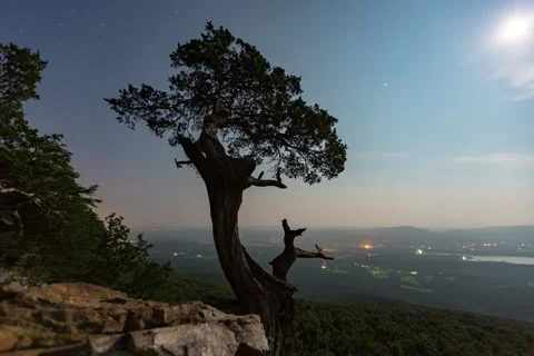 Mount Magazine tree in the moonlight Vídeo Stock 221788940