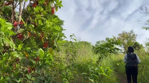 Mount Mapalad Hike Trek Close Up Video stock 196645267