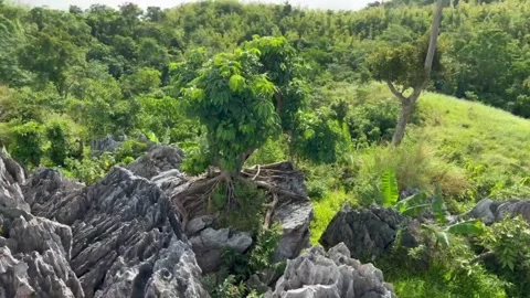 Mount Mapalad Summit Bottom Up View Video stock 196644973