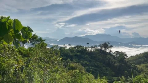 Mount Mapalad Summit View LR Video stock 196645222