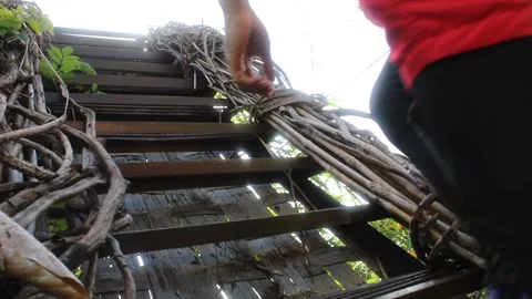 Mount Mapalad Summit Walk Video stock 196648249