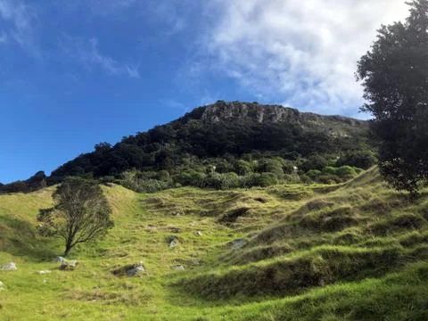 Mount Maunganui from Base Stock Photos