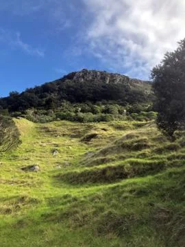 Mount Maunganui Stock Photos