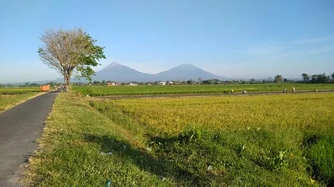 Mount Merapi and Merbabu 스톡 동영상 205544795