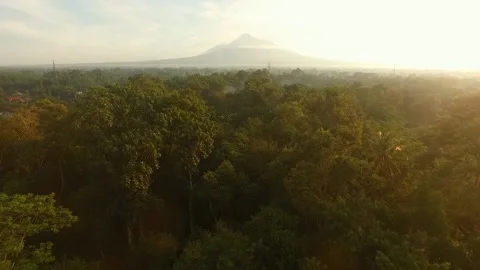Mount Merapi from a distance with a forest in the foreground Stock Footage 154866685
