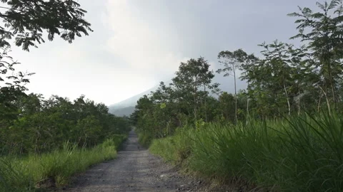 Mount Merapi, Gunung Merapi ,literally Fire Mountain , Yogyakarta, Indonesia Stock Footage 97375605