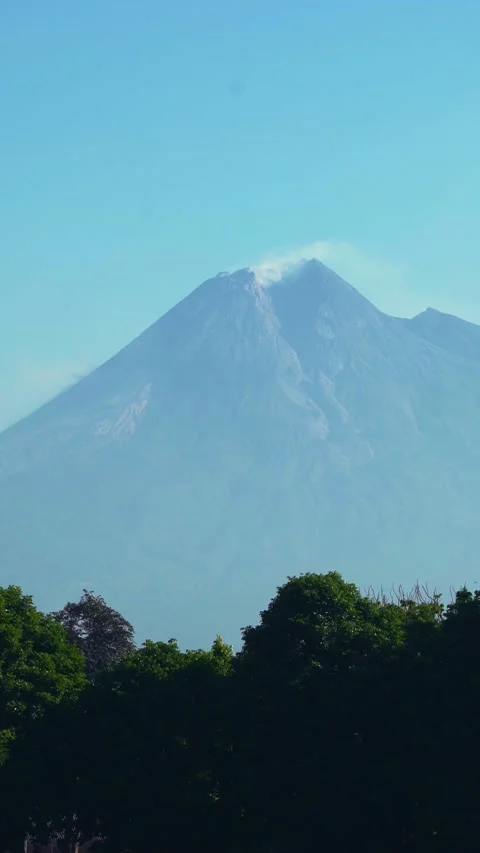 Mount Merapi rises above a dark green treeline beneath a clear blue sky nea.. Stock Footage 341547968