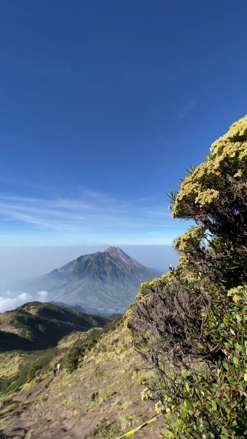Mount Merapi Volcano seen afar from Mount Merbabu Stock Footage 346838501
