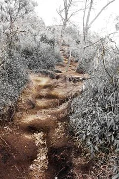 Mount merbabu 写真素材