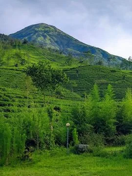 Mount Merbabu Fotos de archivo