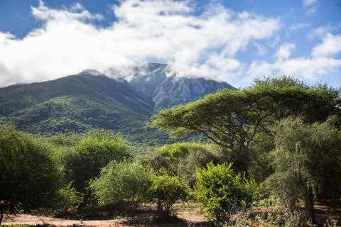 Mount Meru covered in clouds with trees and bushes in front 스톡 사진