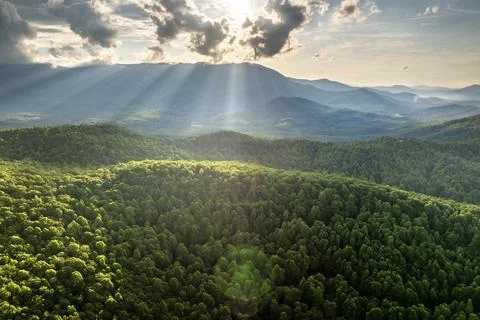 Mount Mitchell State Park with summer woods of Appalachian mountains with green Stock Photos