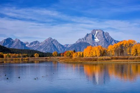 Mount Moran Reflection in the Snake River at Oxbow Bend in Autumn Stock Photos