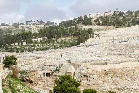 Mount of olives in jerusalem . Stock Photos