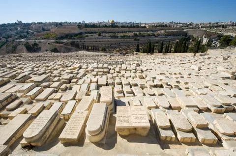 Mount of olives Stock Photos