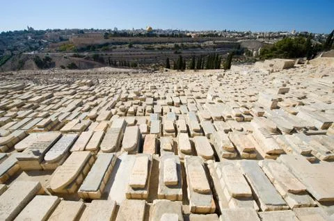 Mount of olives Stock Photos