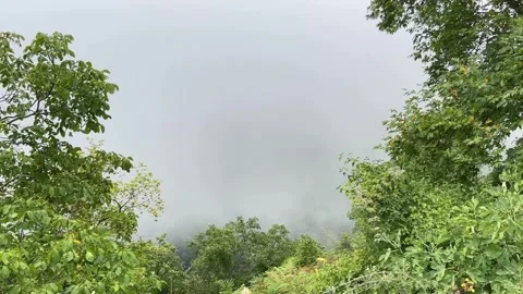 Mount Olympus: Trees and Clouds in a Tarkovsky-Inspired Style Stock Footage 283837484