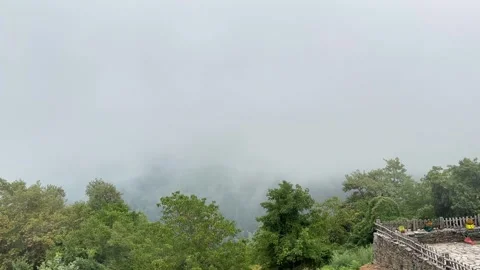 Mount Olympus: Trees and Clouds in a Tarkovsky-Inspired Style Stock Footage 284821136
