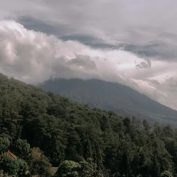 Mount pangrango 库存照片
