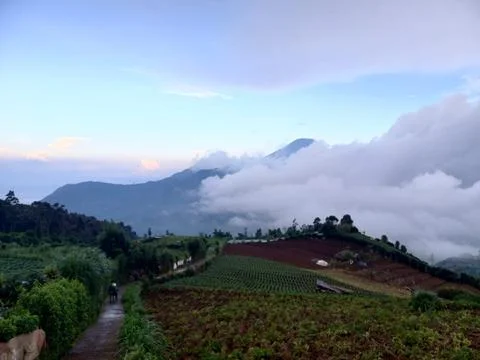 Mount Prau covered cloud Foto stock