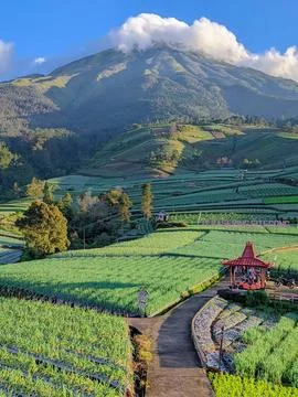 Mount prau Fotos de archivo