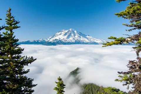 Mount Rainier and High Rock Lookout in June Stock Photos
