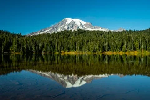 Mount Rainier and Pine Trees Reflect in Blue Lake 写真素材