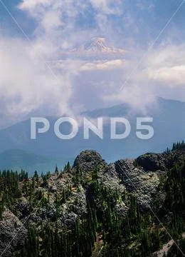 Mount Rainier from the Buckhorn Wilderness, Olympic National Forest, Washington Stock Photos