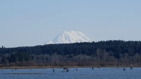 Mount Rainier in the distance Stock Footage 129260625