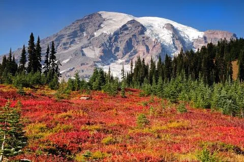 Mount rainier fall colors Stock Photos