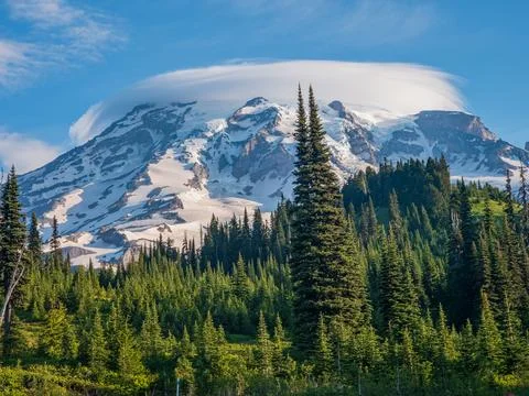 Mount Rainier with lenticular cloud and evergreen forest Stock Photos