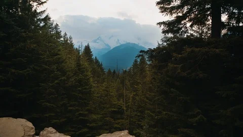 Mount Rainier Looking Through Trees and the Valley Below Stock Footage 102414780