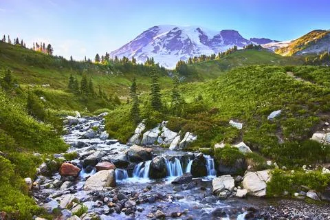 Mount Rainier Myrtle Falls and Alpine Meadow Landscape with Flowing Waterfall Stock Photos