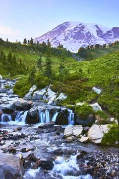 Mount Rainier Myrtle Falls Waterfall and Alpine Meadow Landscape Washington Stock Photos