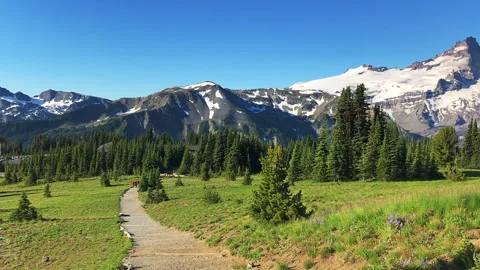 Mount Rainier Panoramic View from Sourdough Ridge at Sunrise area Stock Footage 138310532