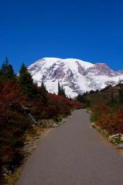 Mount Rainier Path Portrait Stock Photos