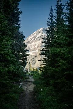 Mount Rainier Peeks Through The Gap In Trees Along Campsite Trail Foto stock