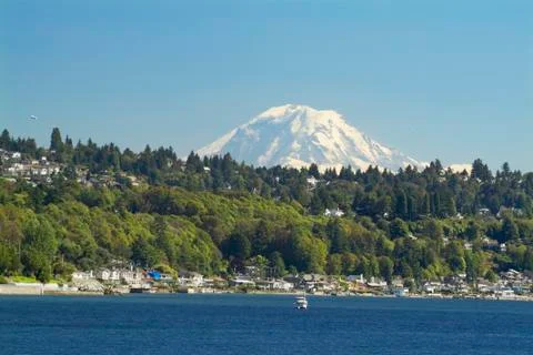 Mount rainier Stock Photos
