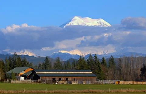 Mount rainier Stock Photos