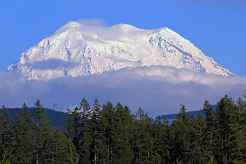 Mount rainier Stock Photos