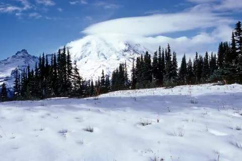 Mount rainier Stock Photos
