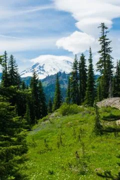 Mount Rainier Stock Photos
