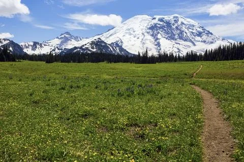 Mount Rainier Stock Photos