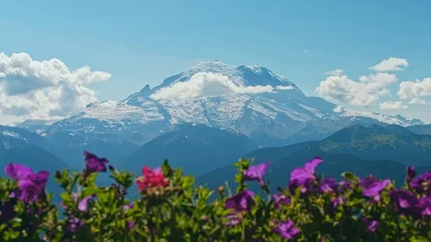 Mount rainier point view with flowers Vidéo 115435627
