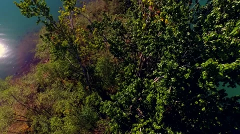 Mount Rainier revealed from behind a tree Stock Footage 53307539