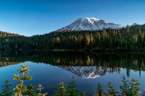 Mount Rainier shows off its reflection in a mirrored lake during the early ho Stock Photos