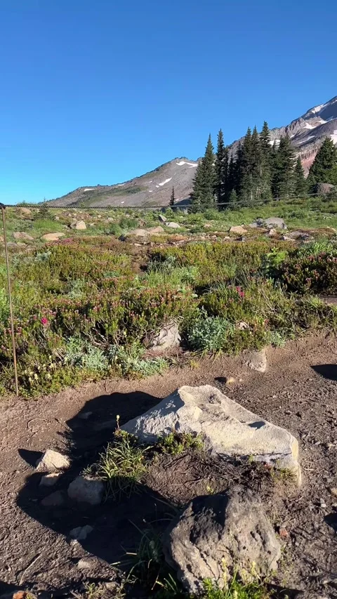 Mount Rainier Skyline Loop Trail Self Hiking POV Vertical 4K Vidéo 341029688