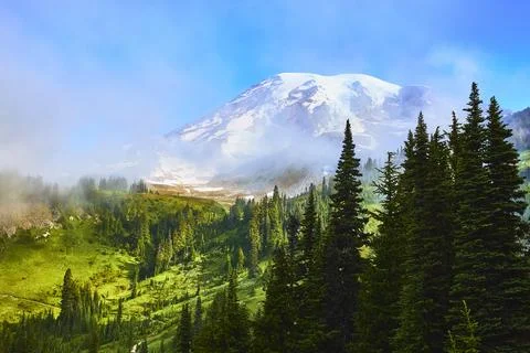 Mount Rainier Snow Capped Peak with Evergreen Forest and Misty Skyline Trail Stock Photos