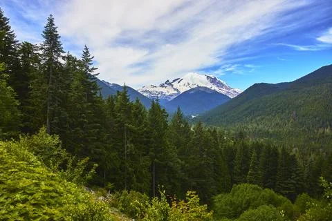 Mount Rainier Snow Capped Peak with Evergreen Forest and Mountain Landscape Stock Photos