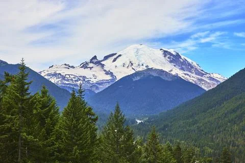 Mount Rainier Snow Capped Peak and Evergreen Forest Sunrise Region Washington Stock Photos